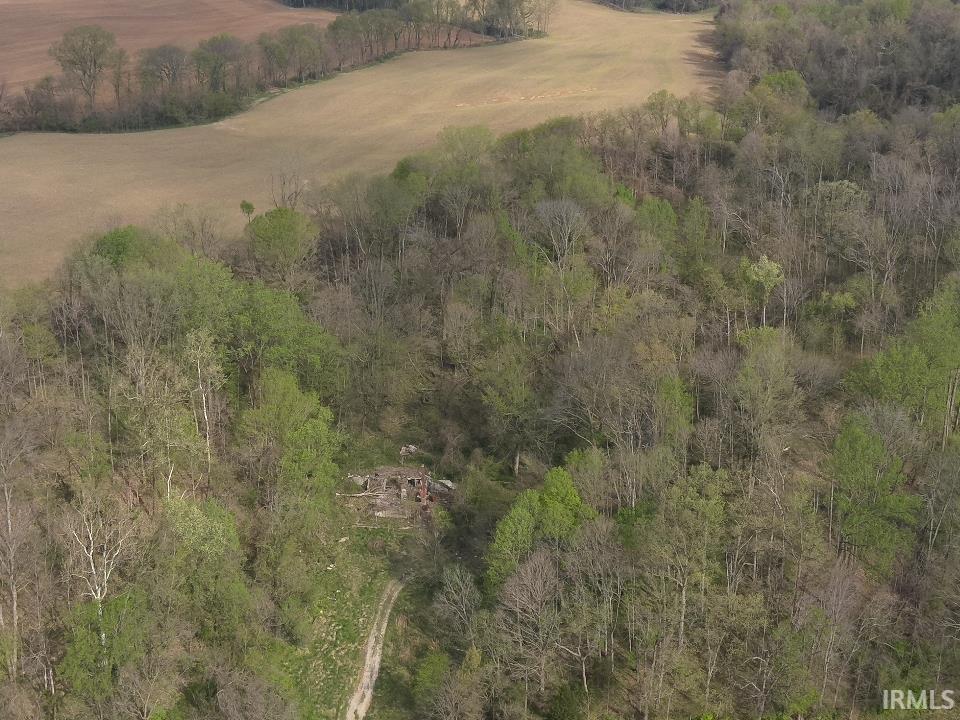 498 Dicksburg Hills Road Decker, IN 47524 - Photo 10 of 14