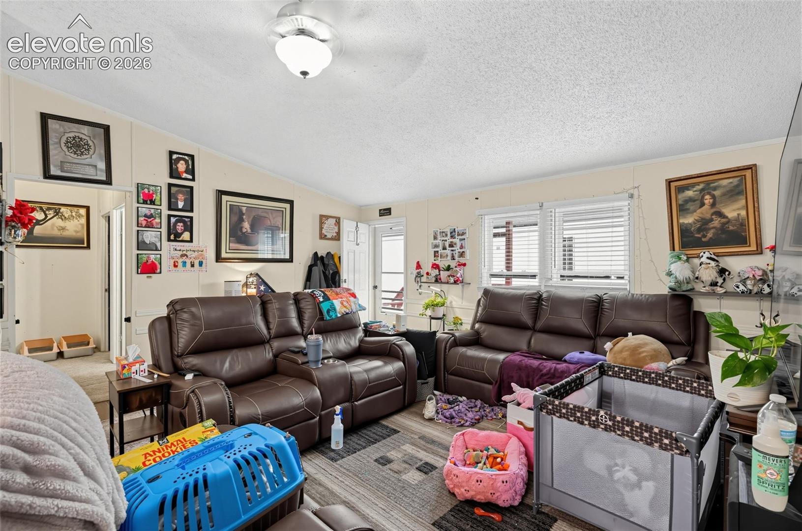 85 Sunflower Road, Unit 262 Colorado Springs, CO 80907 - Photo 17 of 37 Gallery Image 17
