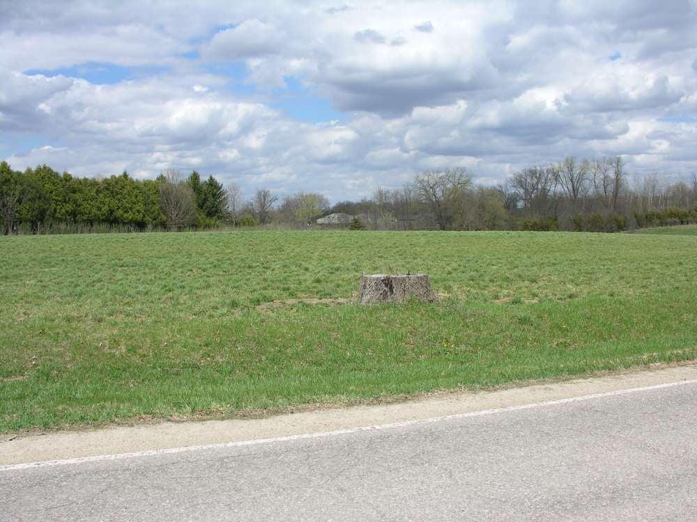 Parcel F Lime Kiln Road Osage, IA 50461 - Photo 1 of 3 Gallery Image 1