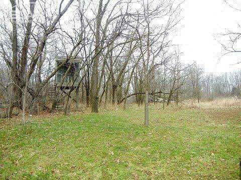 1665 South Morrice Road Owosso, MI 48867 - Photo 19 of 22 20425824-18.JPG