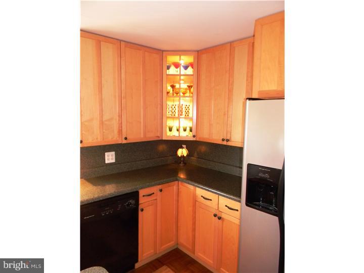 6 Brighton Road Ewing, NJ 08638 - Photo 6 of 19 Kitchen