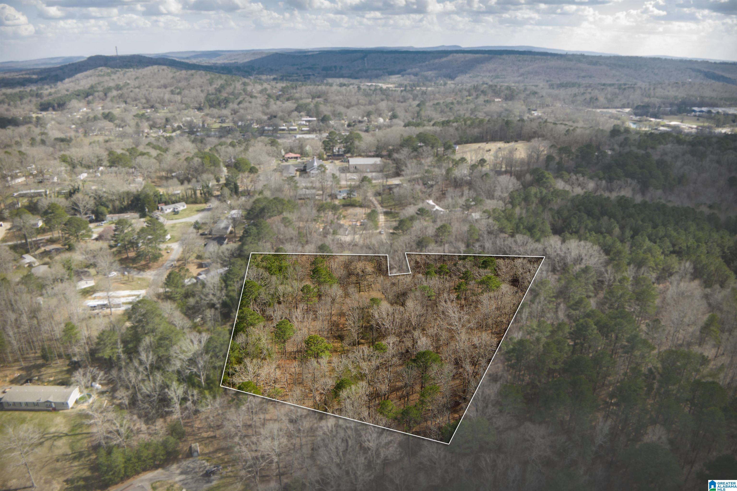 0 Norman Street Springville, AL 35146 - Photo 7 of 15