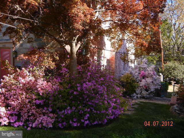 1413 Kalmia Road Northwest Washington, DC 20012 - Photo 18 of 23 Exterior (General)
