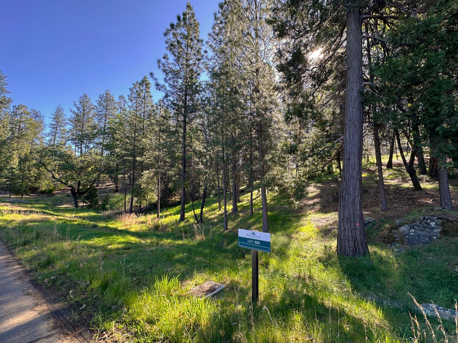 1711 The Point Meadow Vista, CA 95722 - Photo 15 of 33 a view of yard