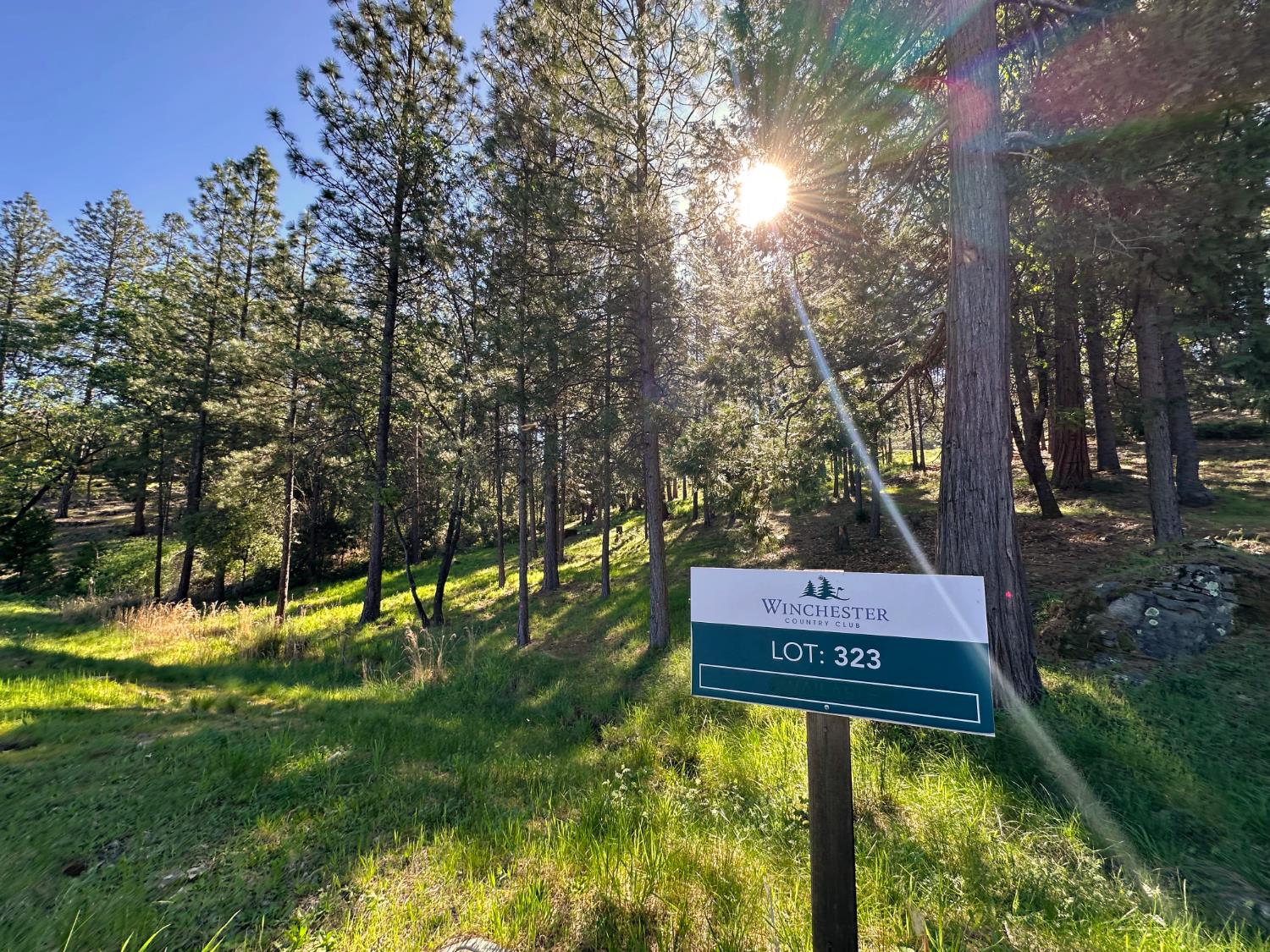 1711 The Point Meadow Vista, CA 95722 - Photo 16 of 33 a view of a park with large trees