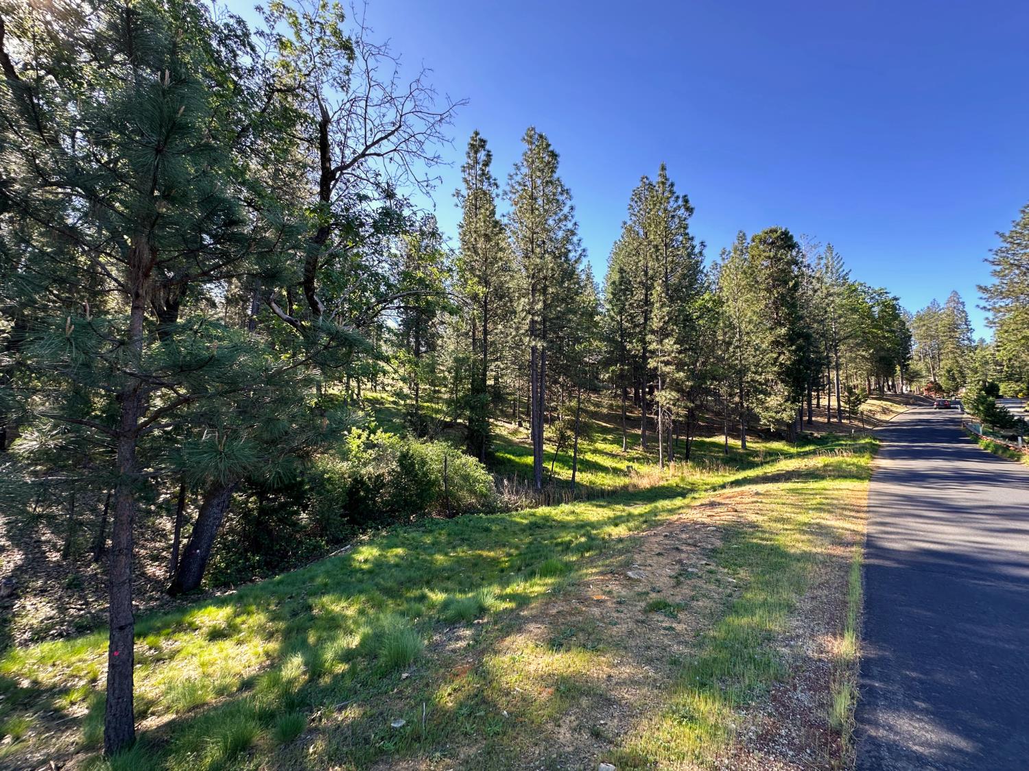 1711 The Point Meadow Vista, CA 95722 - Photo 21 of 33 a view of swimming pool from a yard