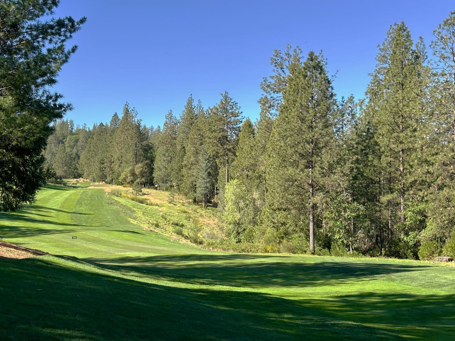 1711 The Point Meadow Vista, CA 95722 - Photo 22 of 33 a view of a golf course