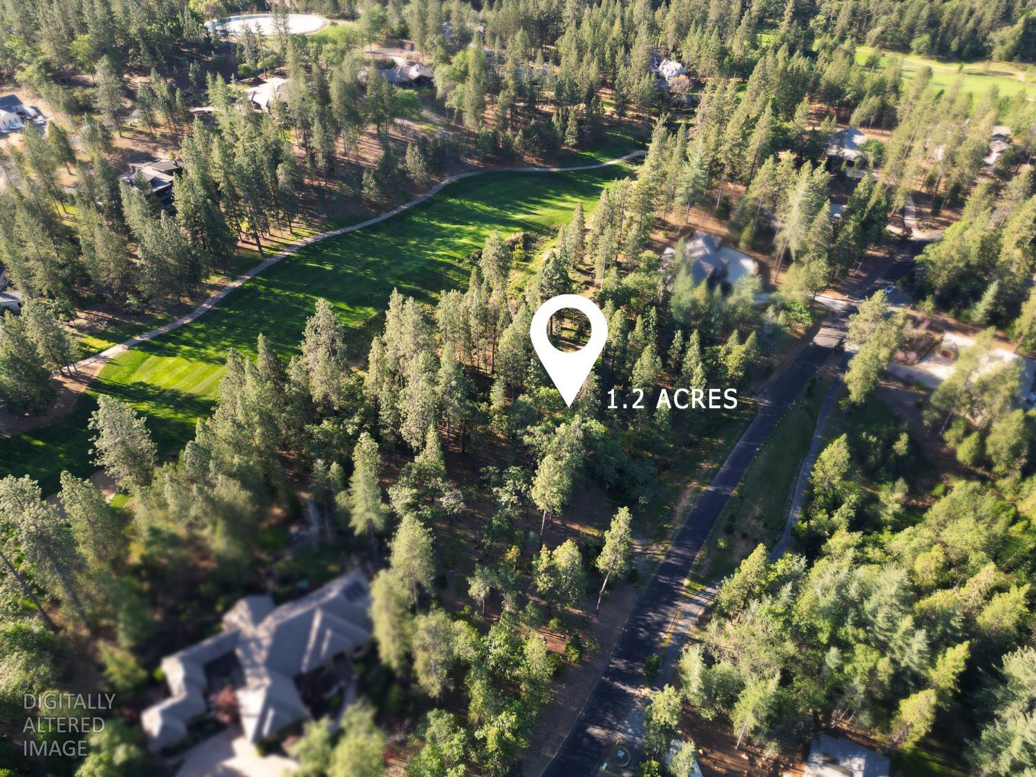 1711 The Point Meadow Vista, CA 95722 - Photo 3 of 33 a view of a tree