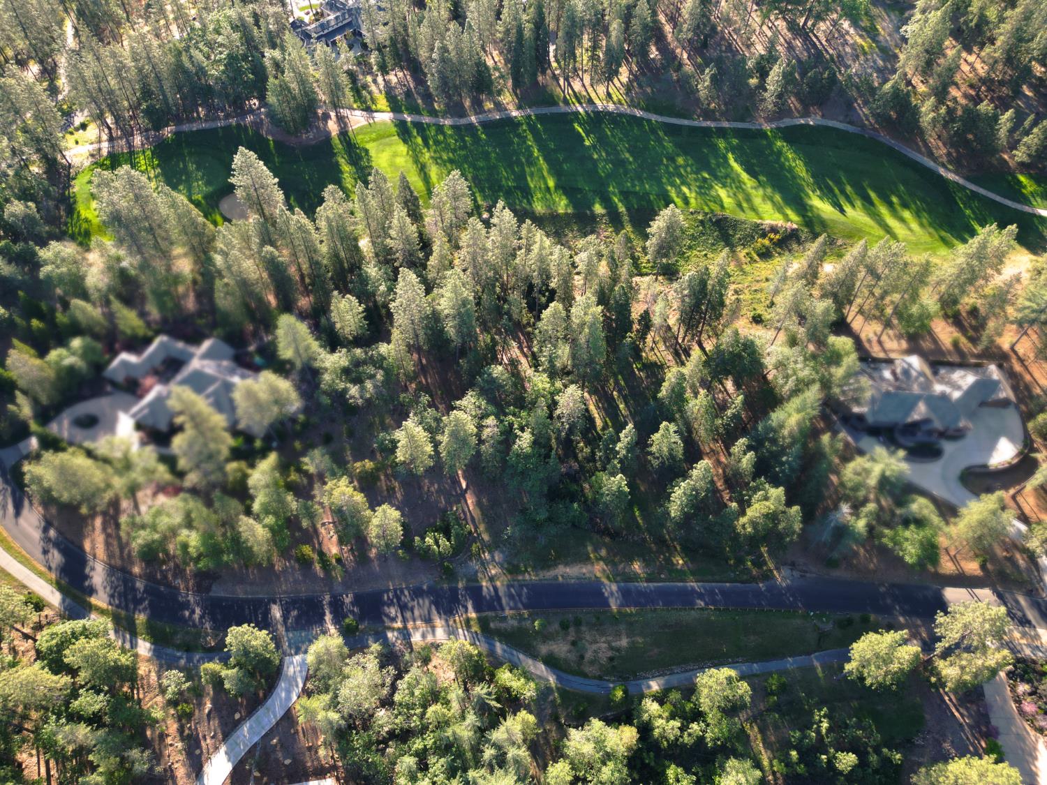 1711 The Point Meadow Vista, CA 95722 - Photo 4 of 33 a view of a lake with a tree