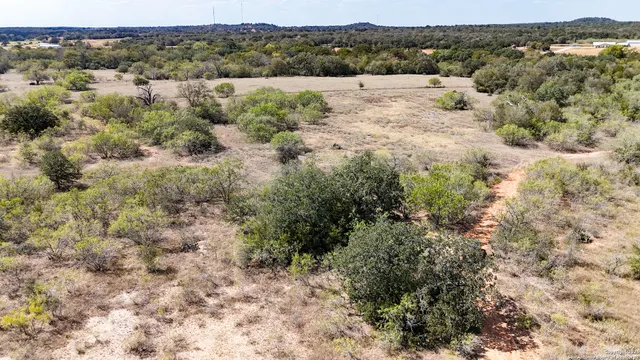 a view of a dry yard with trees