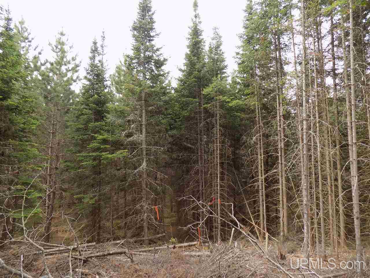Tbd Slim's Road, Unit PARCEL B Manistique, MI 49854 - Photo 9 of 21