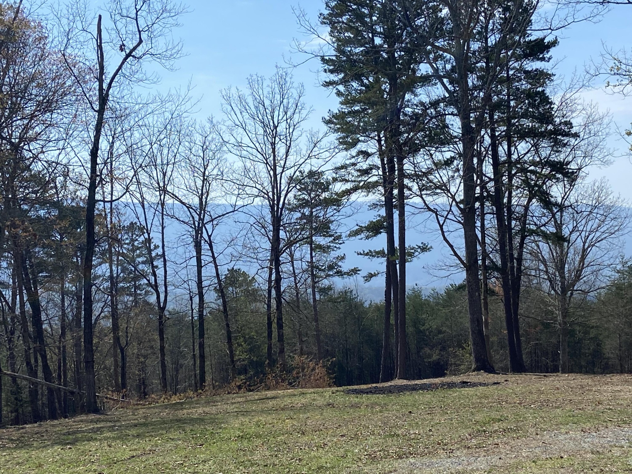 978 Press Pickett Road Whitwell, TN 37397 - Photo 24 of 36 Gallery Image 24