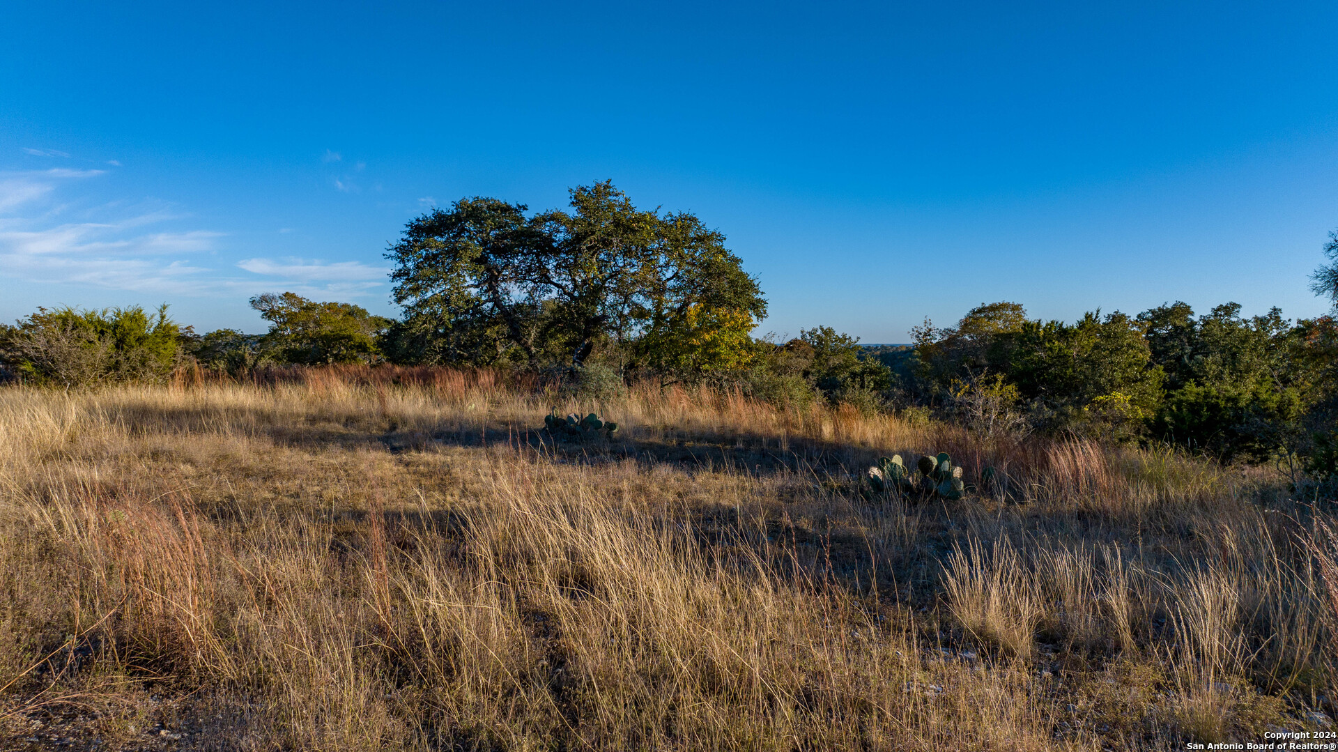 259 Lookout Point Road North Comfort, TX 78013 - Photo 19 of 50