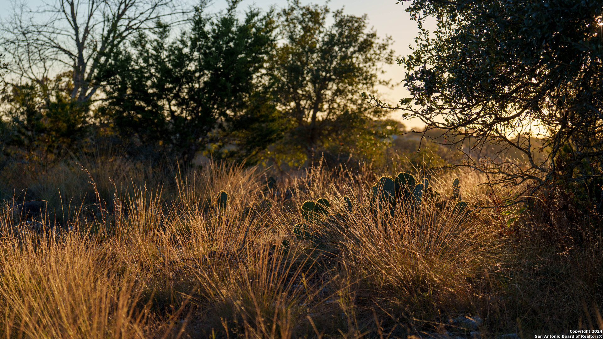 259 Lookout Point Road North Comfort, TX 78013 - Photo 31 of 50