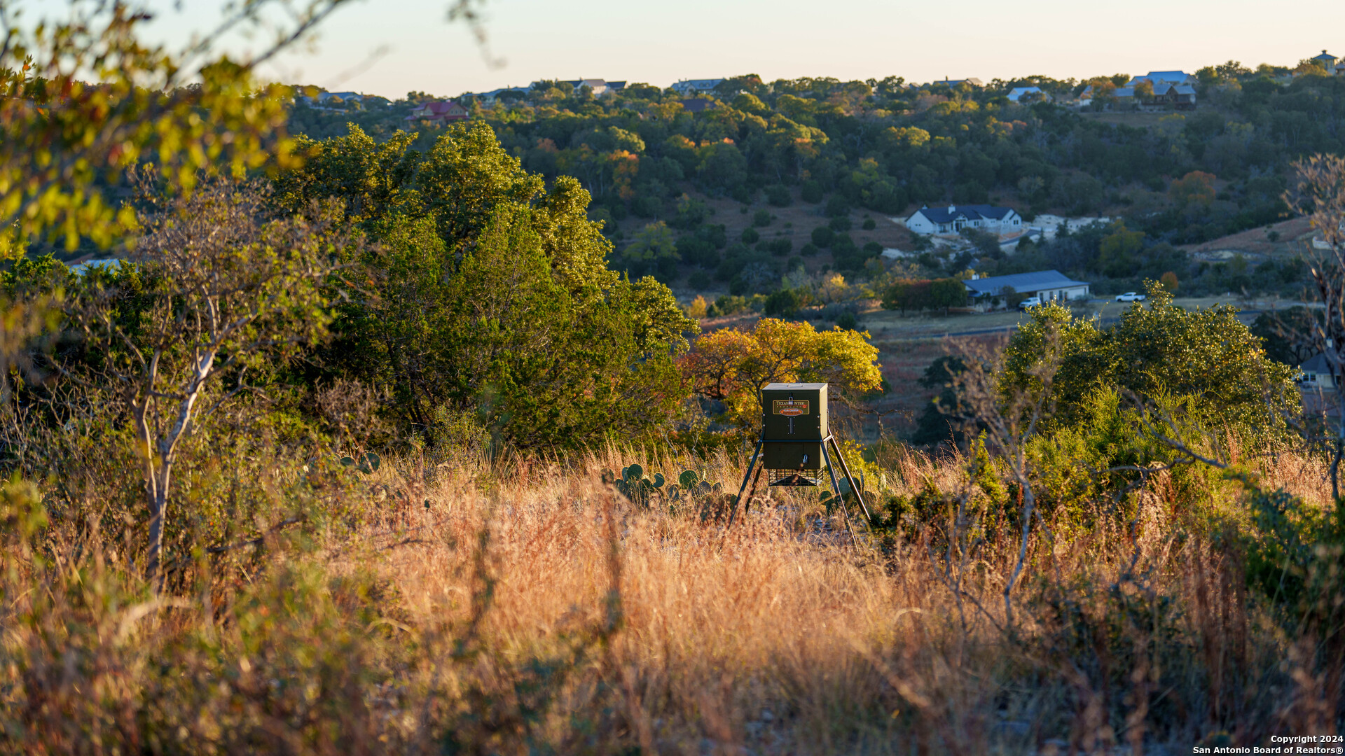 259 Lookout Point Road North Comfort, TX 78013 - Photo 33 of 50