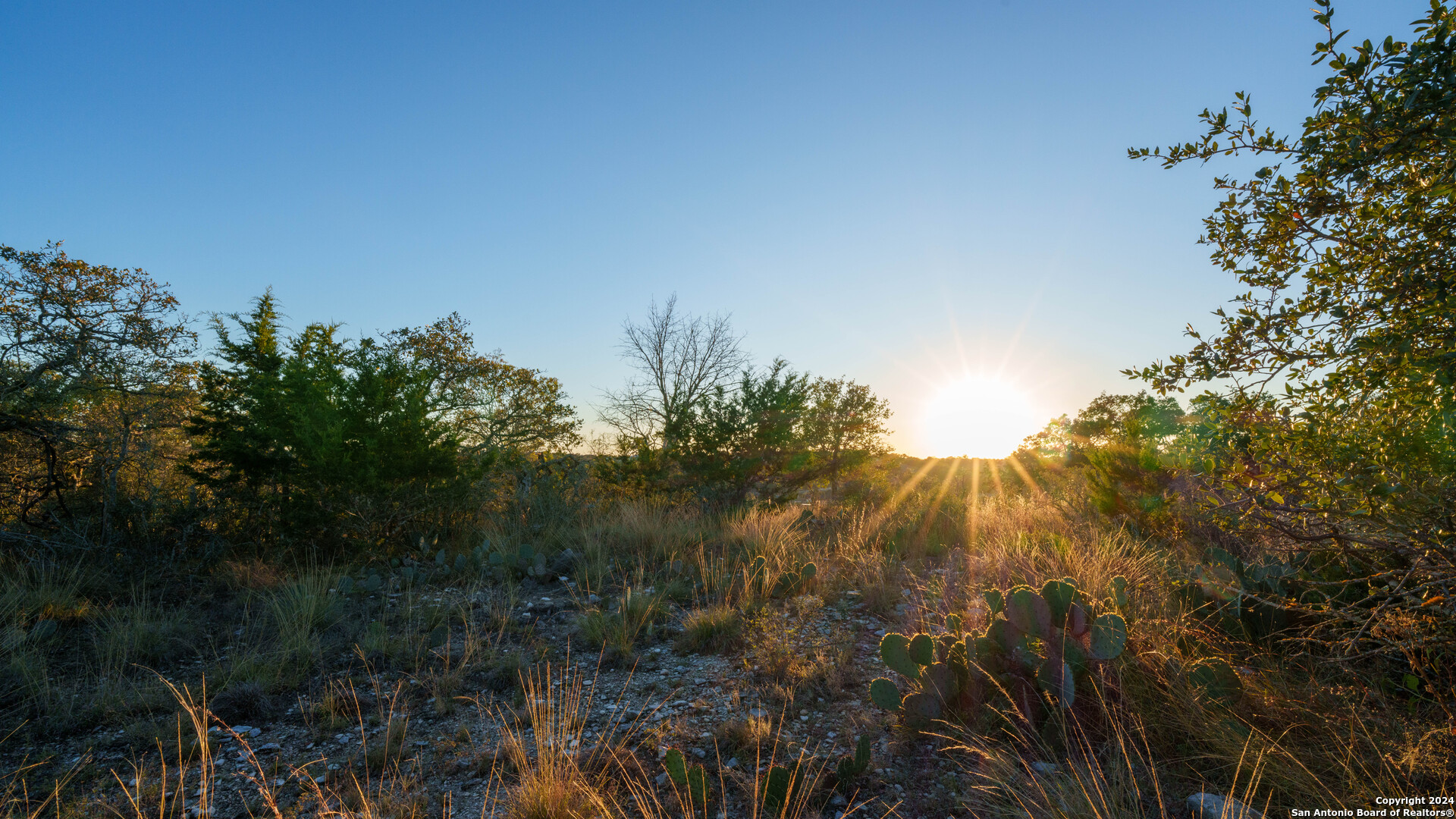 259 Lookout Point Road North Comfort, TX 78013 - Photo 35 of 50