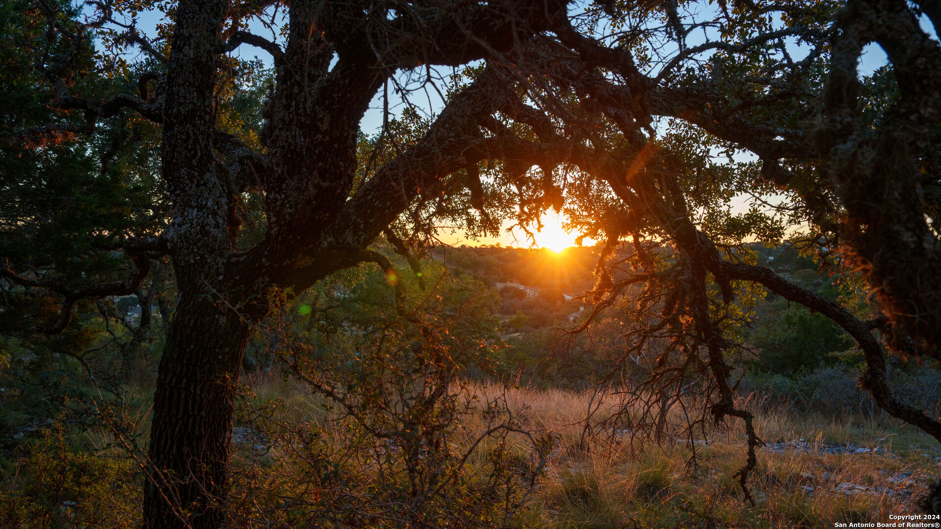 259 Lookout Point Road North Comfort, TX 78013 - Photo 40 of 50