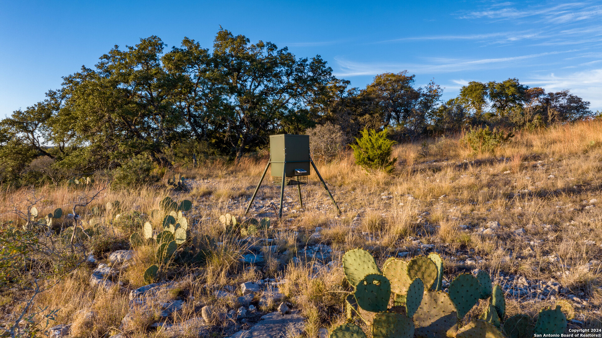 259 Lookout Point Road North Comfort, TX 78013 - Photo 47 of 50