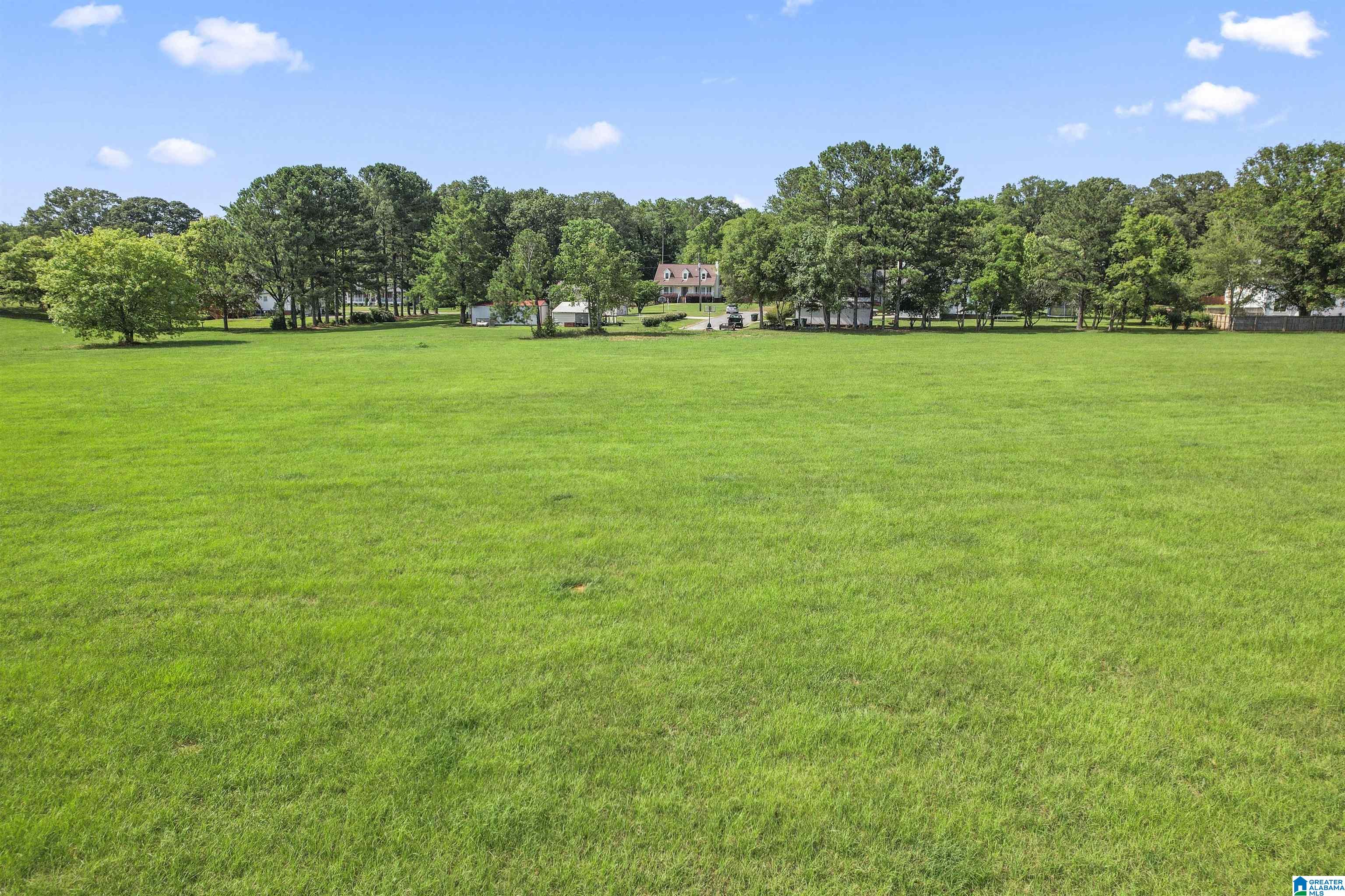 100 Country Hills Road Montevallo, AL 35115 - Photo 45 of 45 Gallery Image 45
