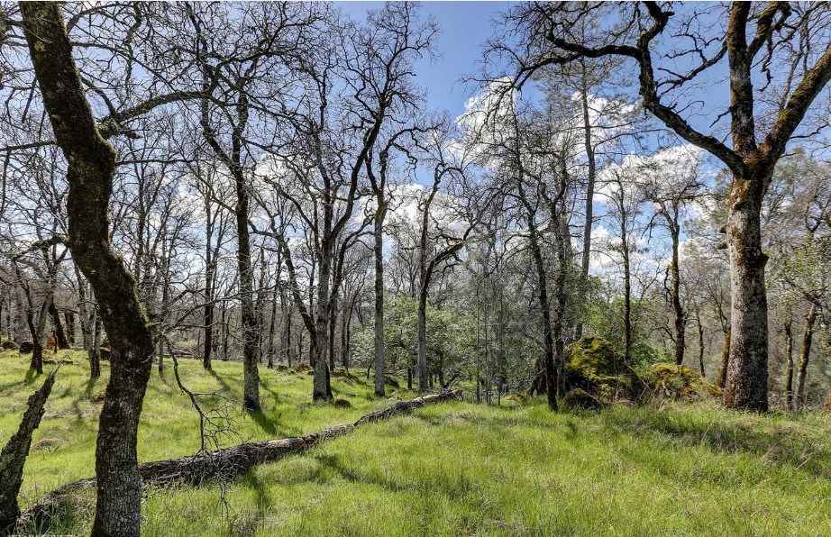 23826 Fagerlie Road Auburn, CA 95602 - Photo 16 of 21 Gallery Image 16