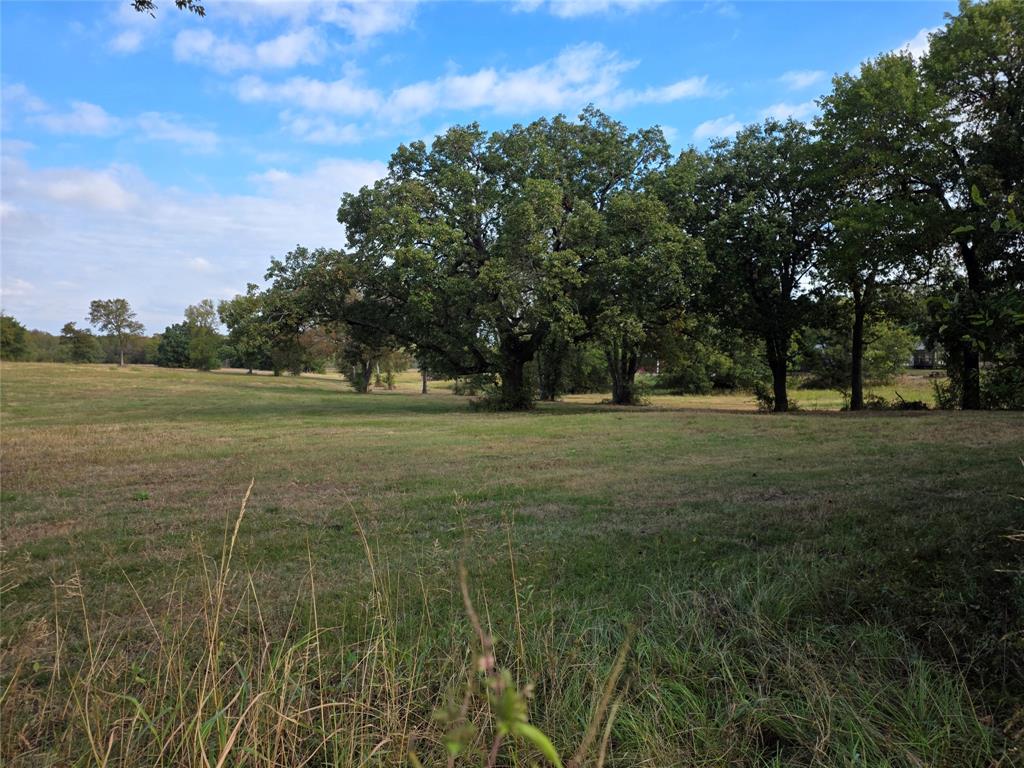 3830 County Road 4040 Whitewright, TX 75491 - Photo 11 of 27 a view of outdoor space with green field and trees