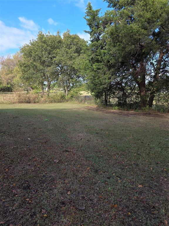 3830 County Road 4040 Whitewright, TX 75491 - Photo 22 of 27 a view of dirt field with large trees