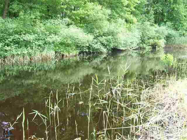 9215 Folkert Road Algonac, MI 48001 - Photo 7 of 24 31104772-6.JPG