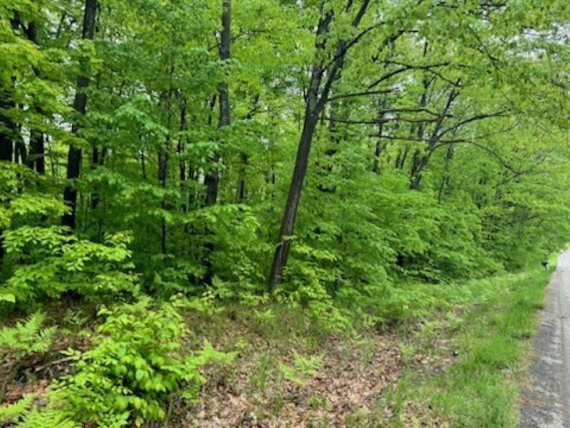 Vl Southwest Lund Road Fife Lake, MI 49633 - Photo 2 of 11