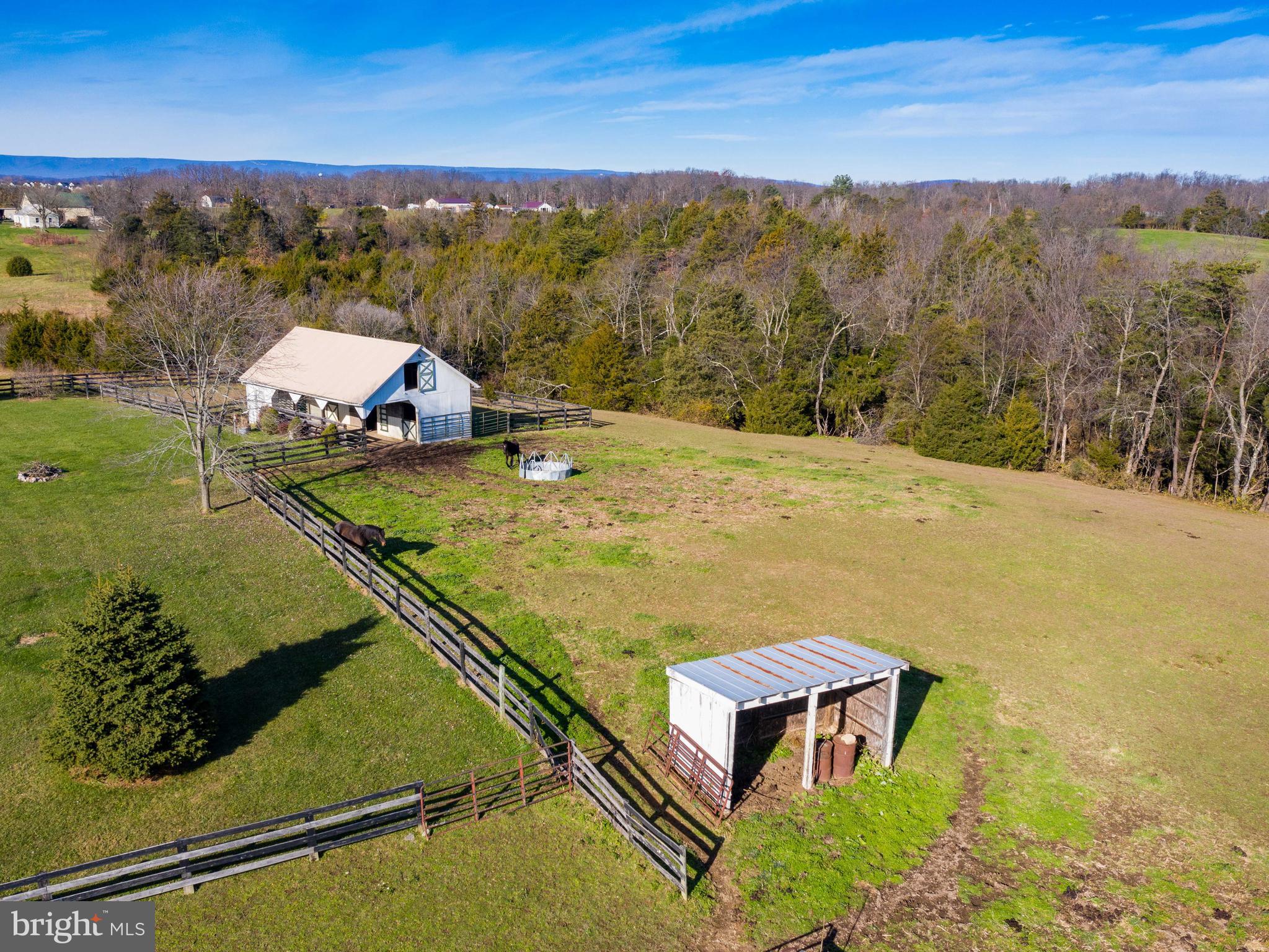 315 Armel Road White Post, VA 22663 - Photo 44 of 51 Gallery Image 44
