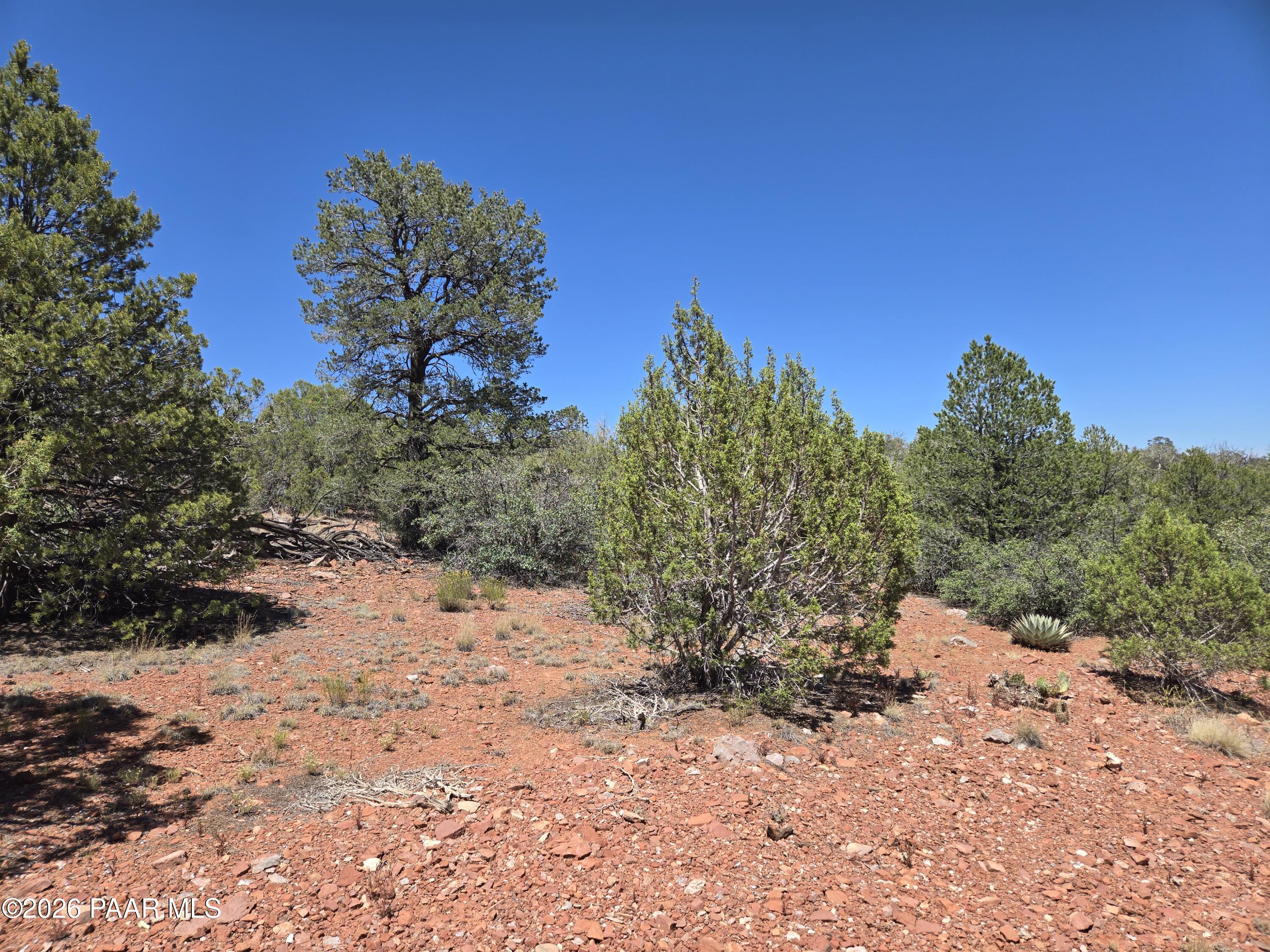 450 Arizona Road Ash Fork, AZ 86320 - Photo 7 of 16 1000034386