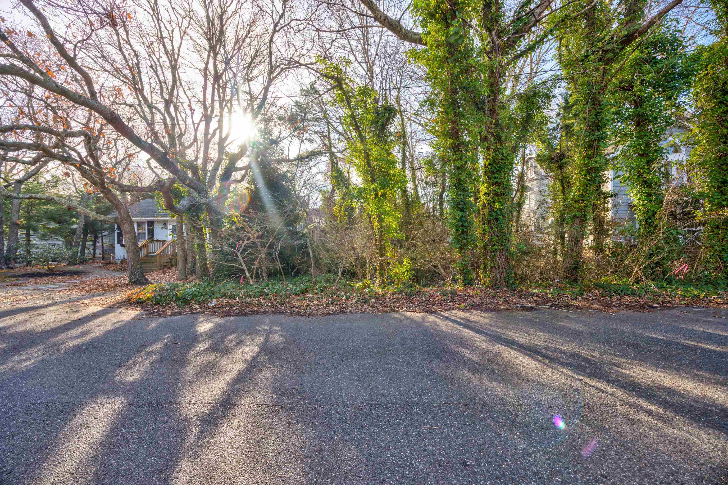 a view of road and trees