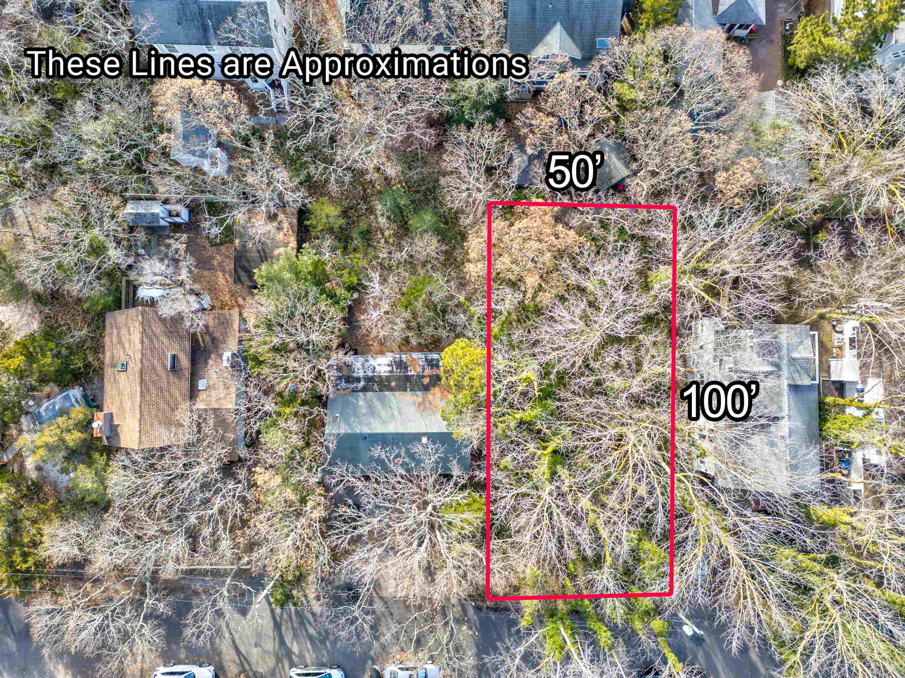 317 Stites Avenue Cape May Point, NJ 08212 - Photo 2 of 4