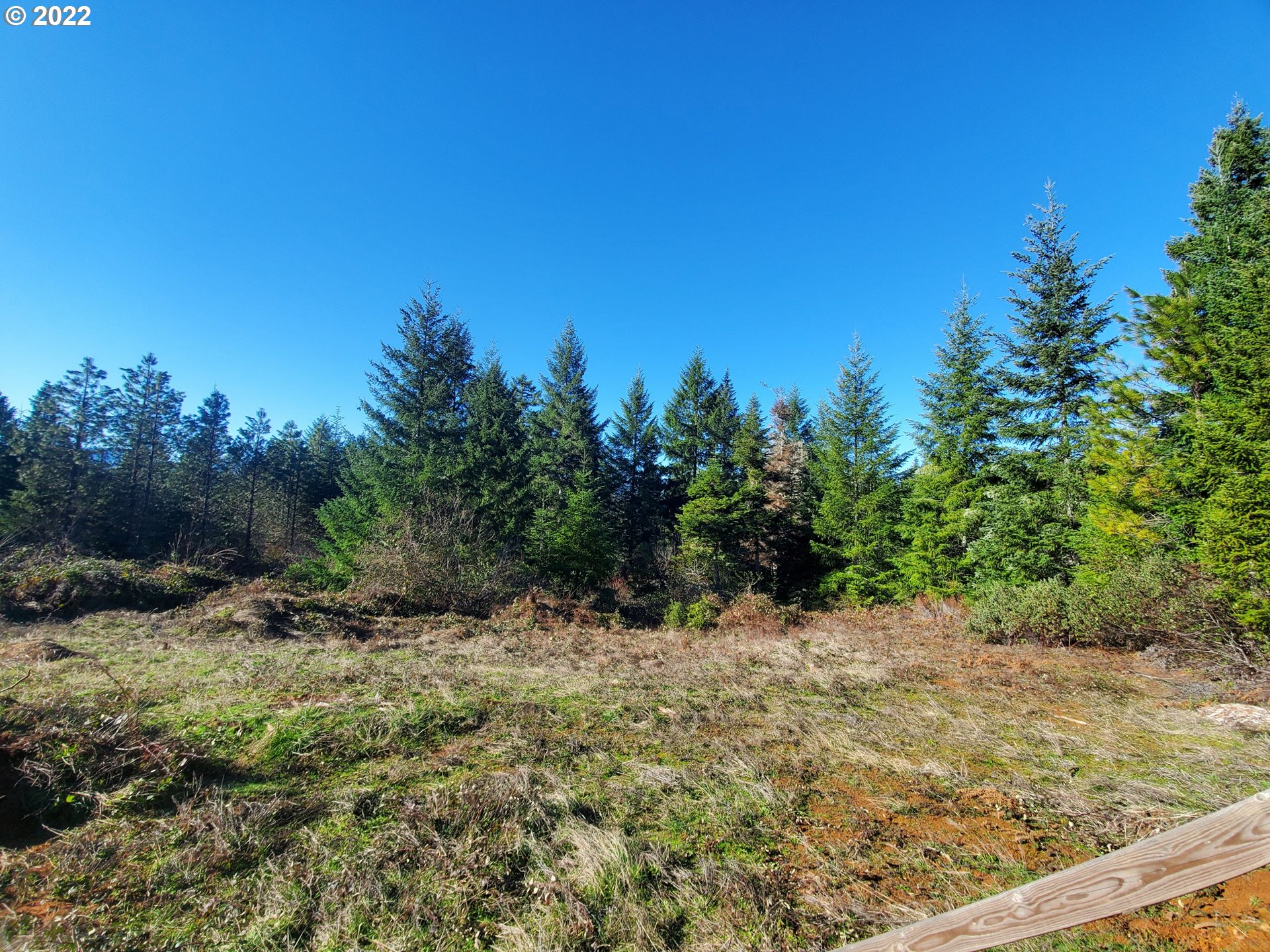1102 East Camas Road Camas Valley, OR 97416 - Photo 12 of 16 Gallery Image 12