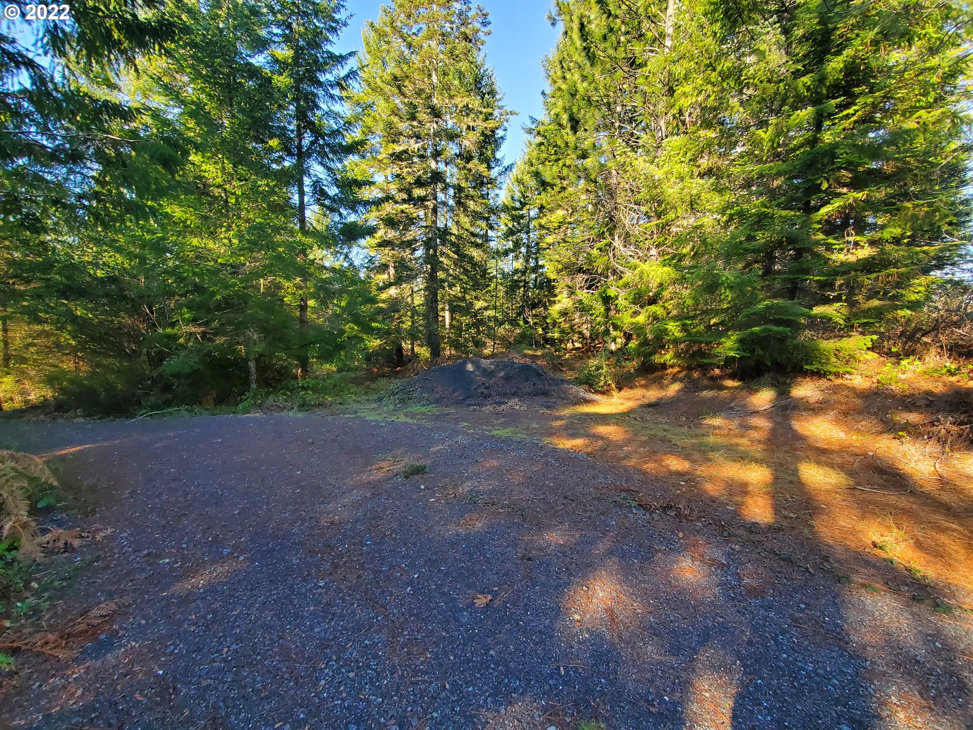 1102 East Camas Road Camas Valley, OR 97416 - Photo 5 of 16 Gallery Image 5