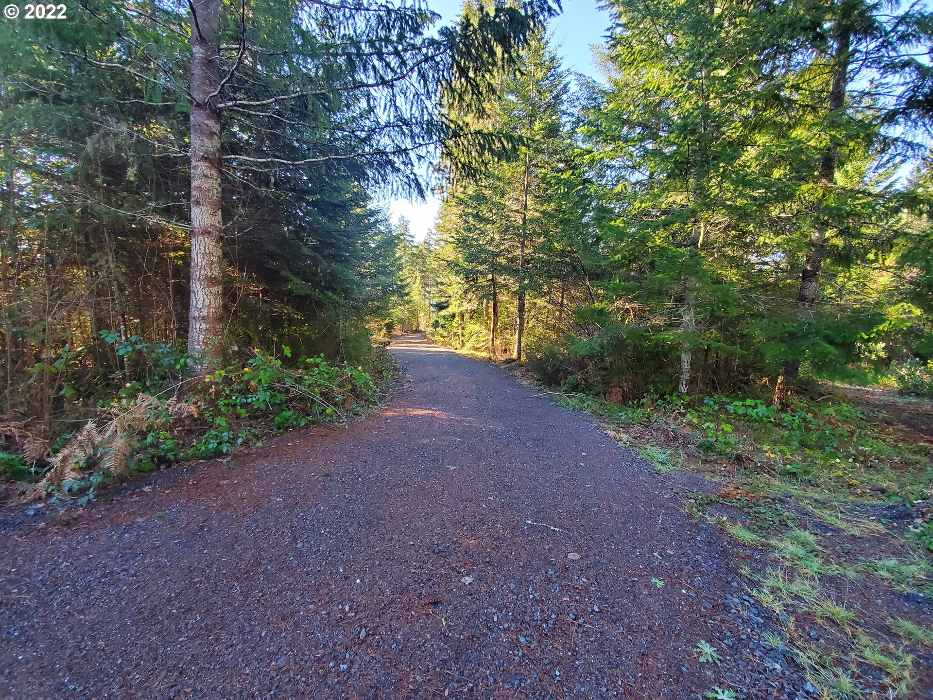 1102 East Camas Road Camas Valley, OR 97416 - Photo 6 of 16 Gallery Image 6
