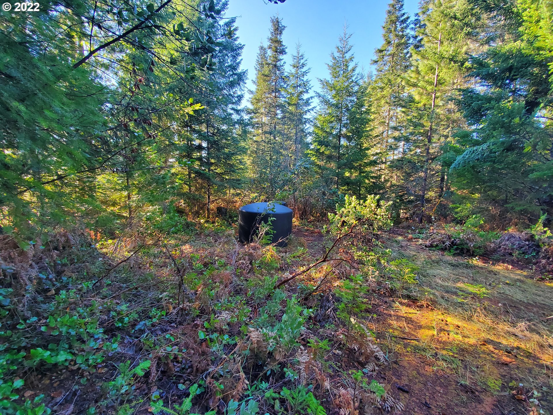 1102 East Camas Road Camas Valley, OR 97416 - Photo 9 of 16 Gallery Image 9