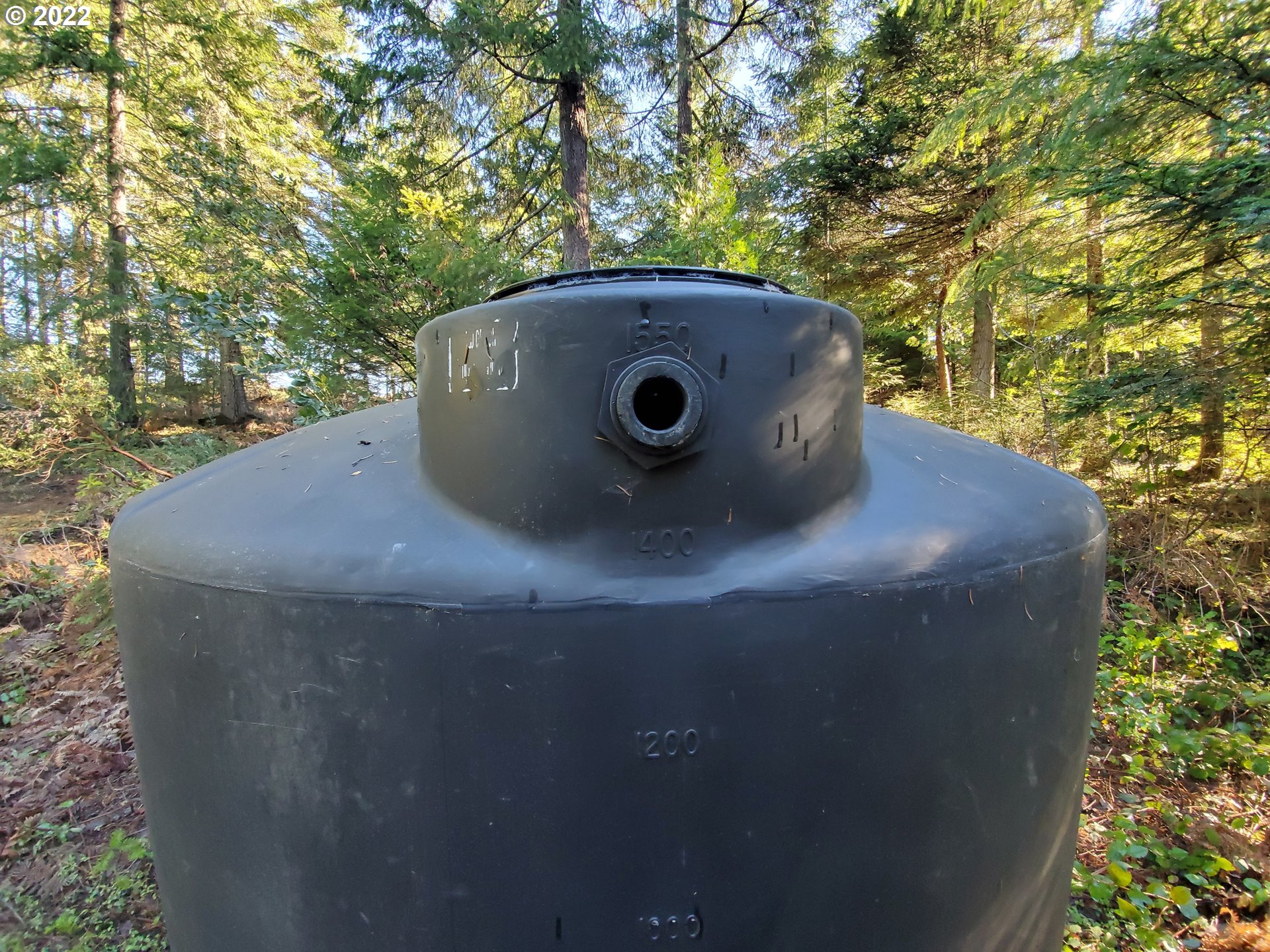 1102 East Camas Road Camas Valley, OR 97416 - Photo 10 of 16 Gallery Image 10