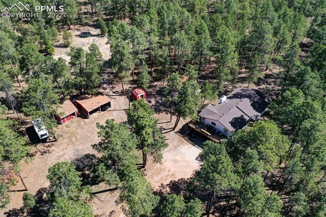 4140 Shoup Road Colorado Springs, CO 80908 - Photo 5 of 44 4.77 acres in Black Forest