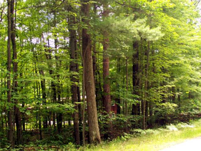 On Everett Road Eagle River, WI 54521 - Photo 2 of 5 Gallery Image 2