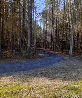 0 Figg Shop Road Gloucester, VA 23061 - Photo 4 of 28 NEW DRIVEWAY