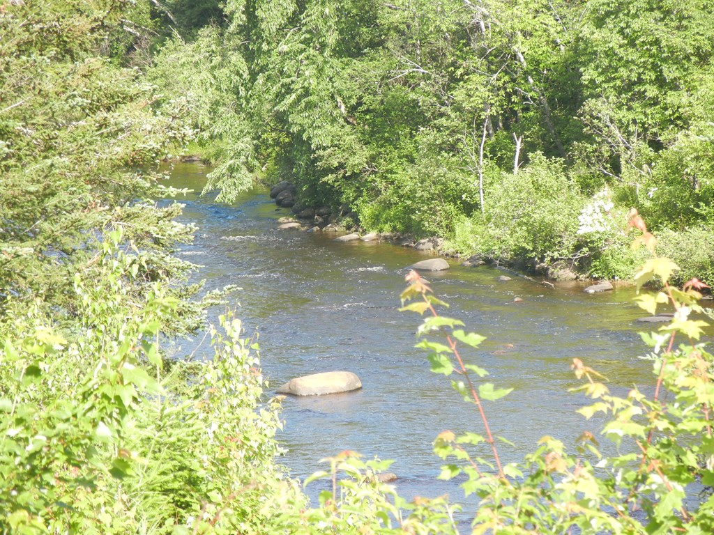 0 Soucy Road Saranac, NY 12981 - Photo 4 of 6 Gallery Image 4