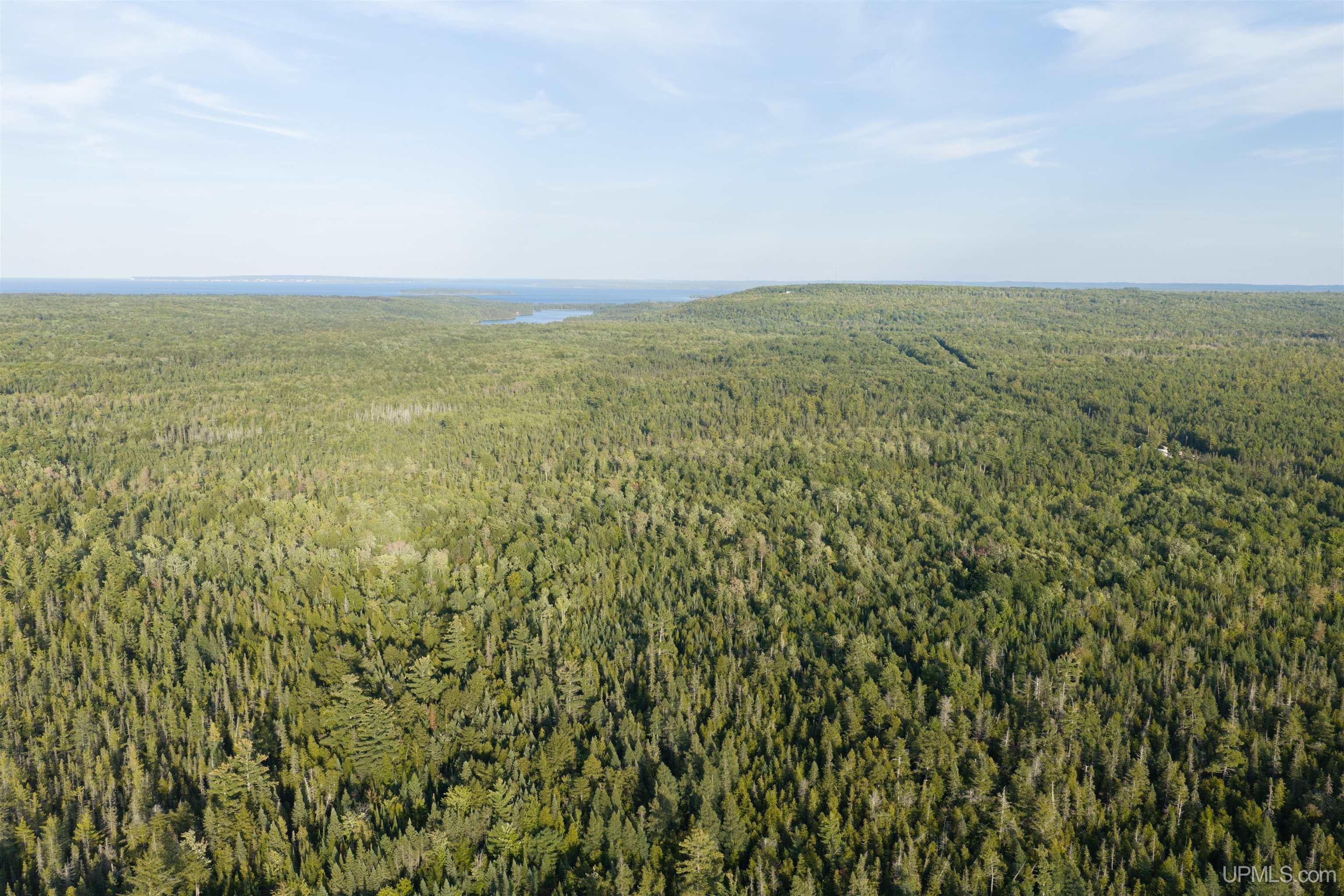 120 Acres Parcel B Off Deerton Road Deerton, MI 49822 - Photo 3 of 11 Gallery Image 3