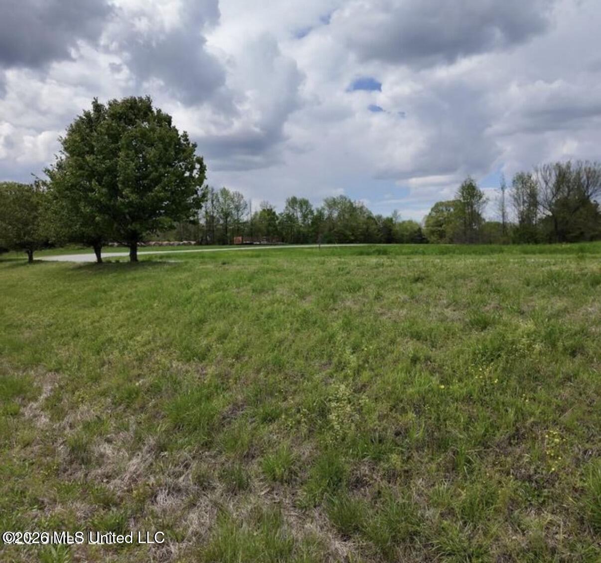 0 Fairview Road Byhalia, MS 38611 - Photo 1 of 2 IMG_7610