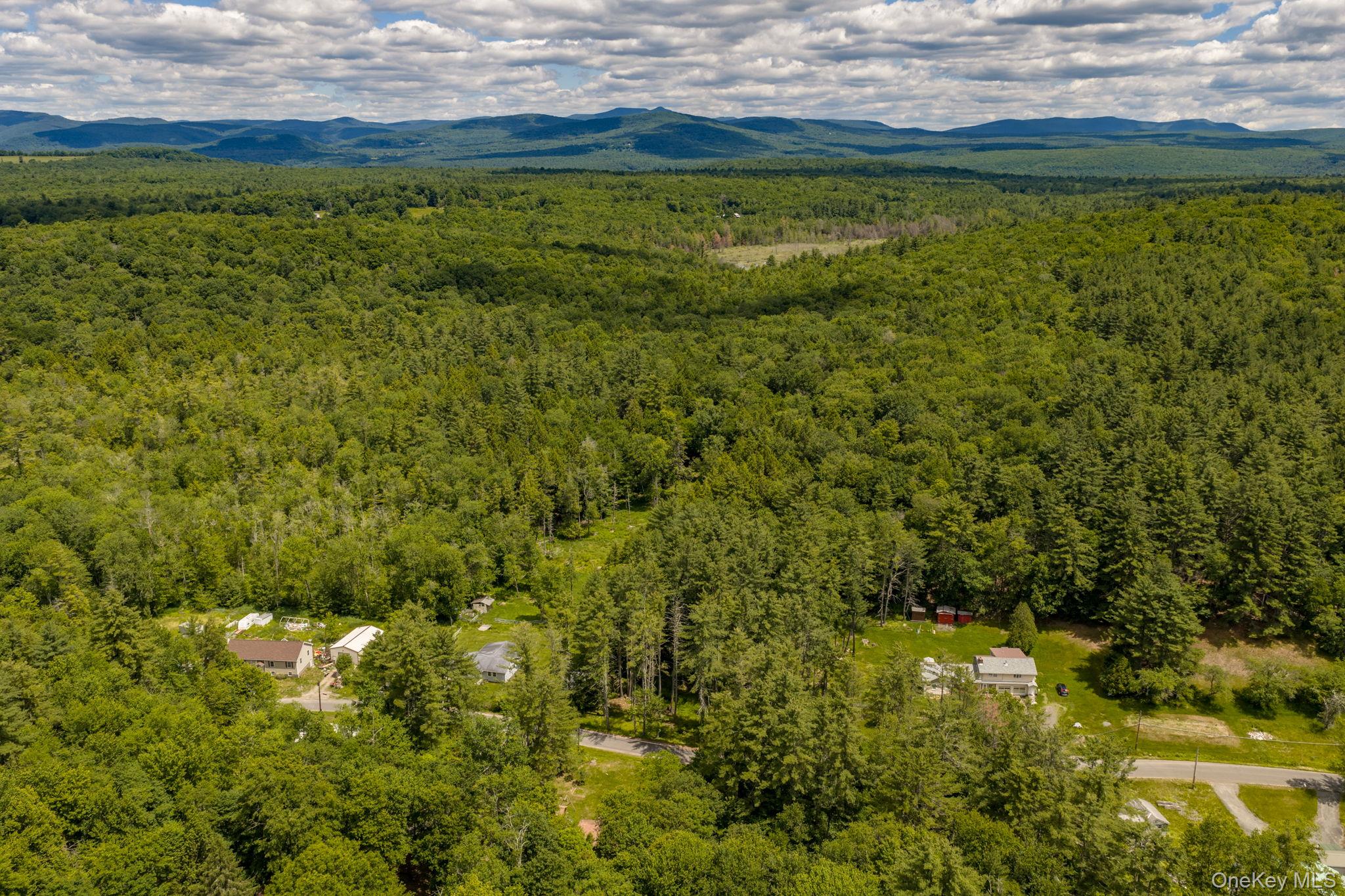 570 Brown Road Ellenville, NY 12428 - Photo 31 of 33