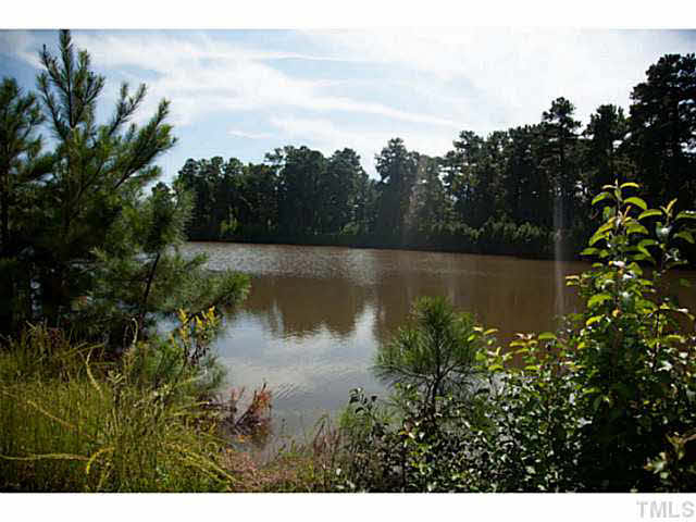 293 Jordan Narron Road Selma, NC 27576 - Photo 5 of 25 Gallery Image 5