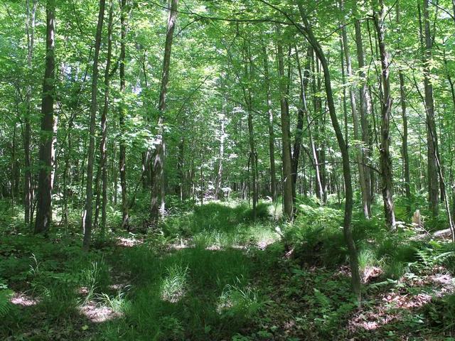 20 Clearview Road Ogema, WI 54459 - Photo 12 of 20 Gallery Image 12