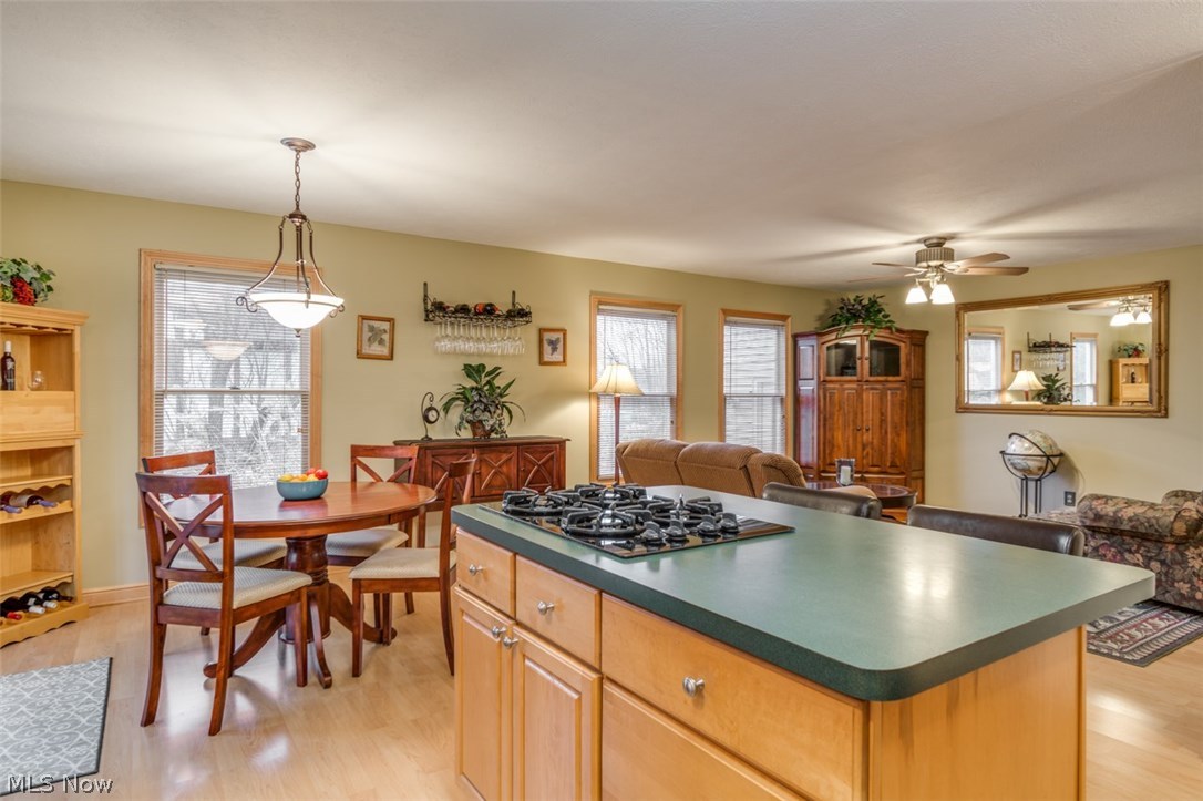 12150 Girdled Road Painesville, OH 44077 - Photo 7 of 35 Gallery Image 7