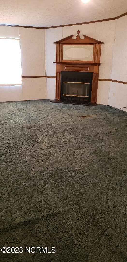 570 Mike Stocks Road Hookerton, NC 28538 - Photo 3 of 10 ms 8