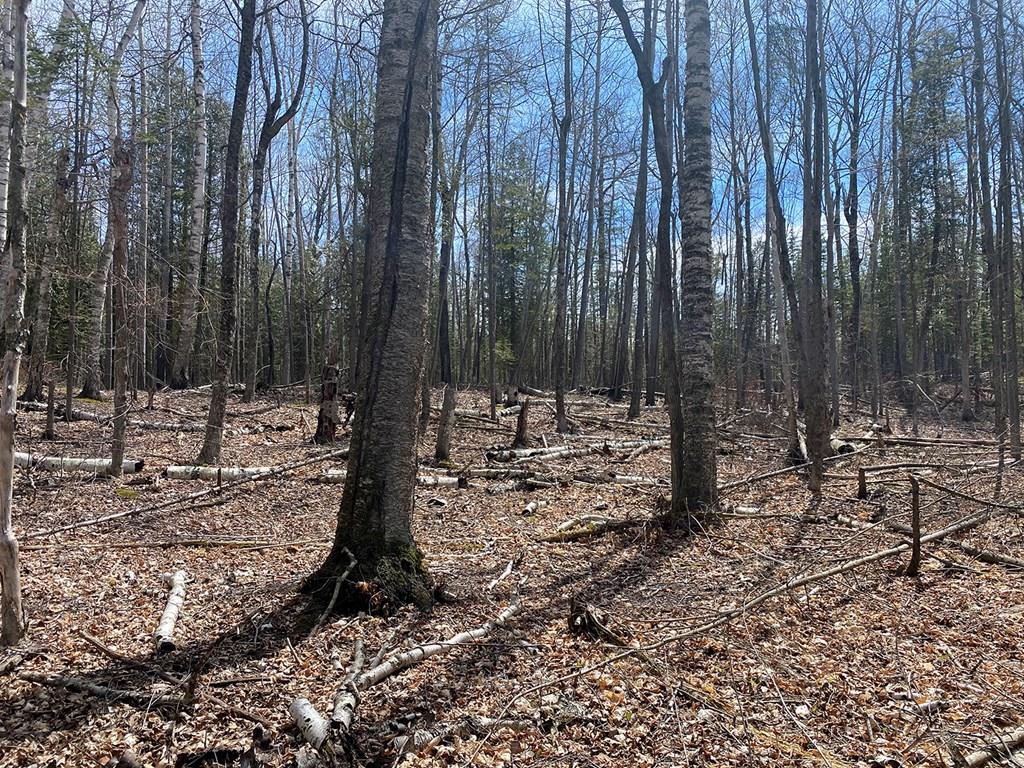 Tbd Boyers Bluff Road Washington Island, WI 54246 - Photo 1 of 10