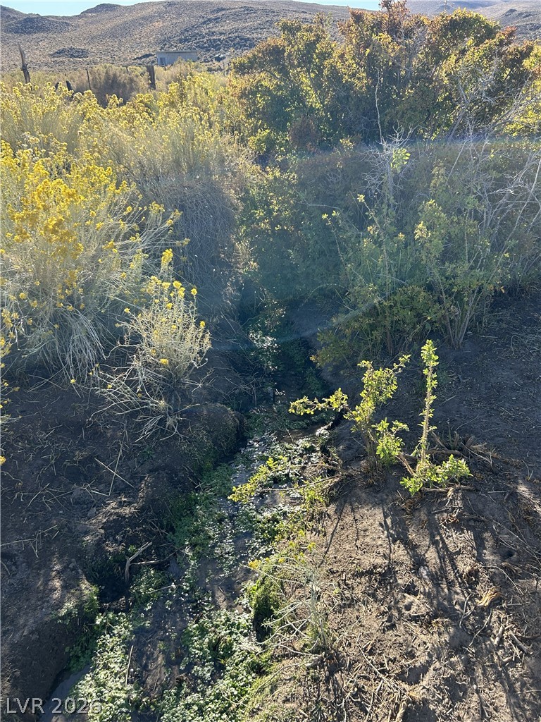 0 Sand Springs Road Dyer, NV 89010 - Photo 19 of 27